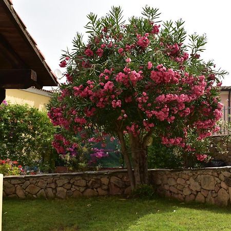 Splendida Villetta Tavolara 1 Vaccileddi المظهر الخارجي الصورة