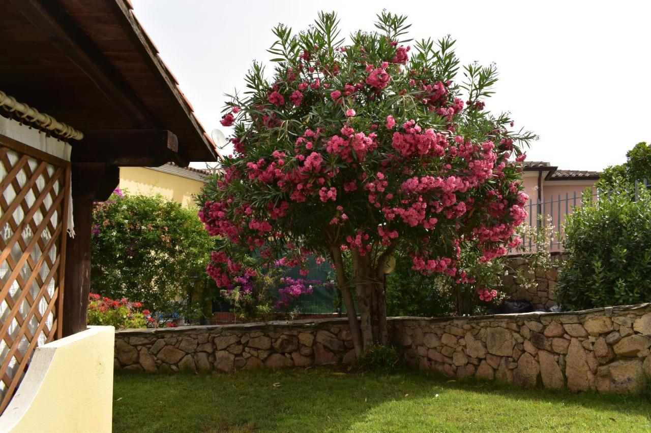 Splendida Villetta Tavolara 1 Vaccileddi المظهر الخارجي الصورة